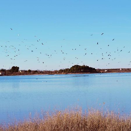 Albergue Los Patos Villafranca de los Caballeros Buitenkant foto